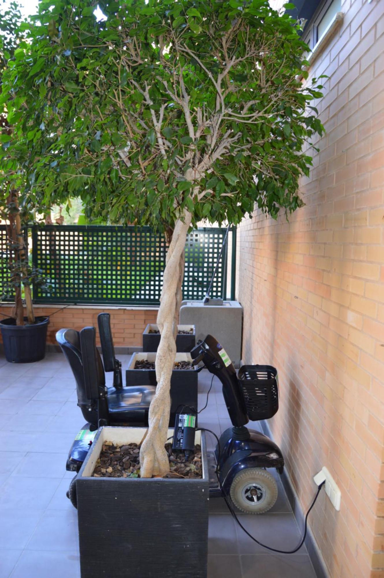 Albir Beach & Sea Apt El Albir Exterior foto